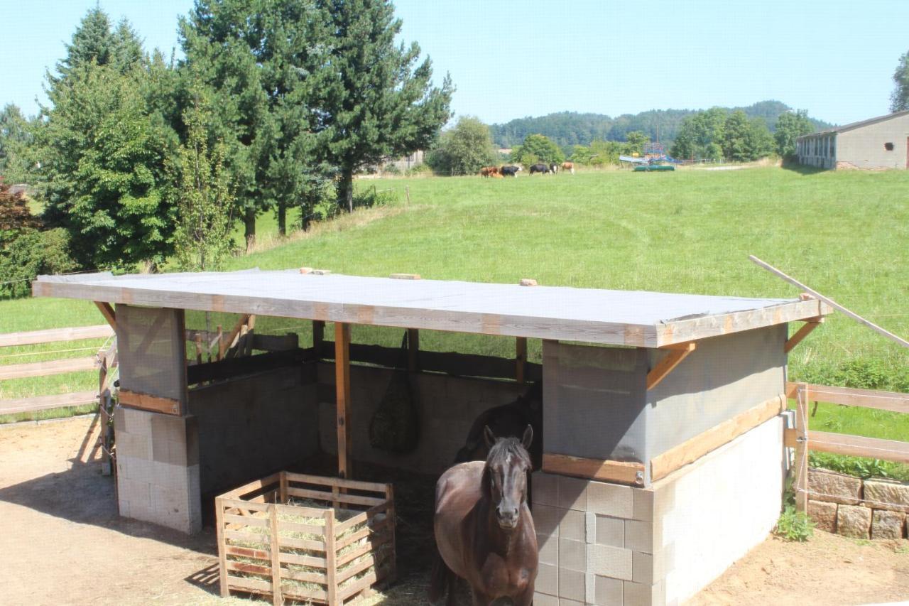 Ferienwohnung Feldblick Struppen Esterno foto